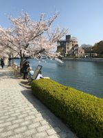 桜（投稿：三橋 まゆみさん）２年前に孫と2人旅で広島に行った時の写真です。小学校卒業祝いです🙆‍♀️